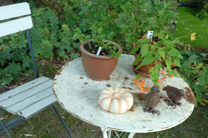 LeJardindeMmeDeville (20)